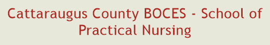Cattaraugus County BOCES - School of Practical Nursing